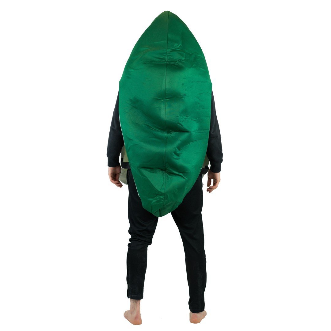 Costume Avocat
