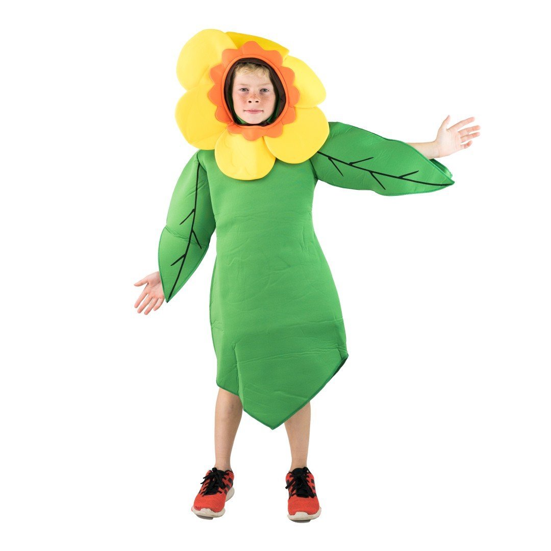 Costume de Fleur pour Enfants